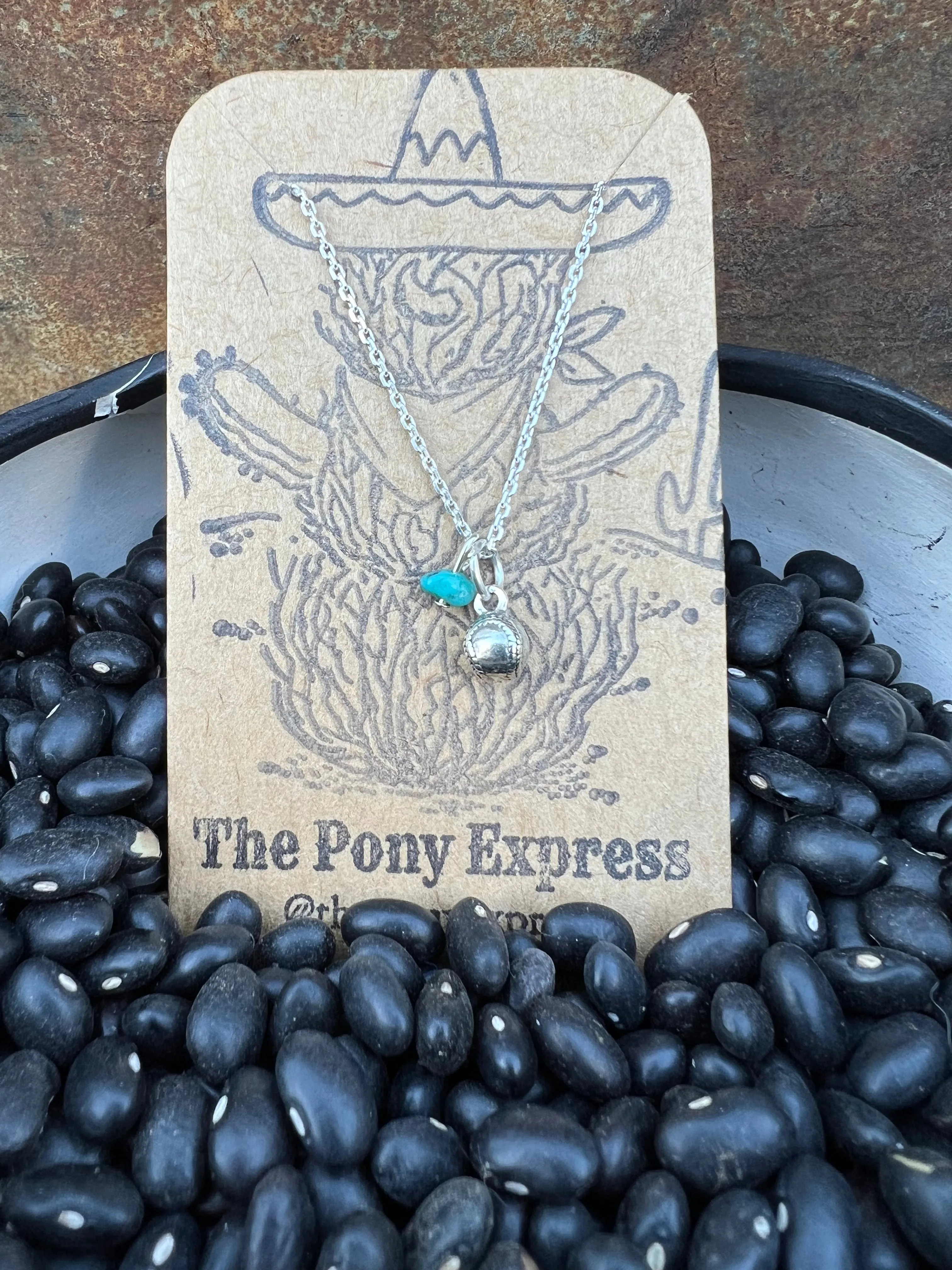 $25 Turquoise Charm Necklace