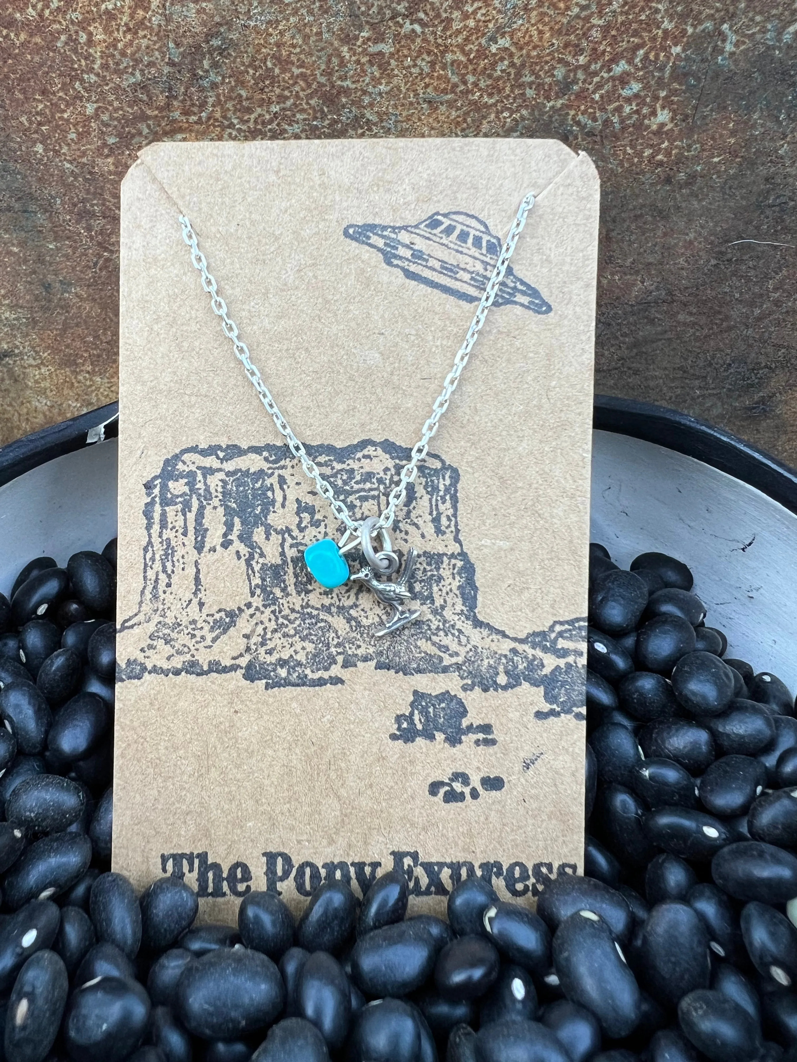 $25 Turquoise Charm Necklace