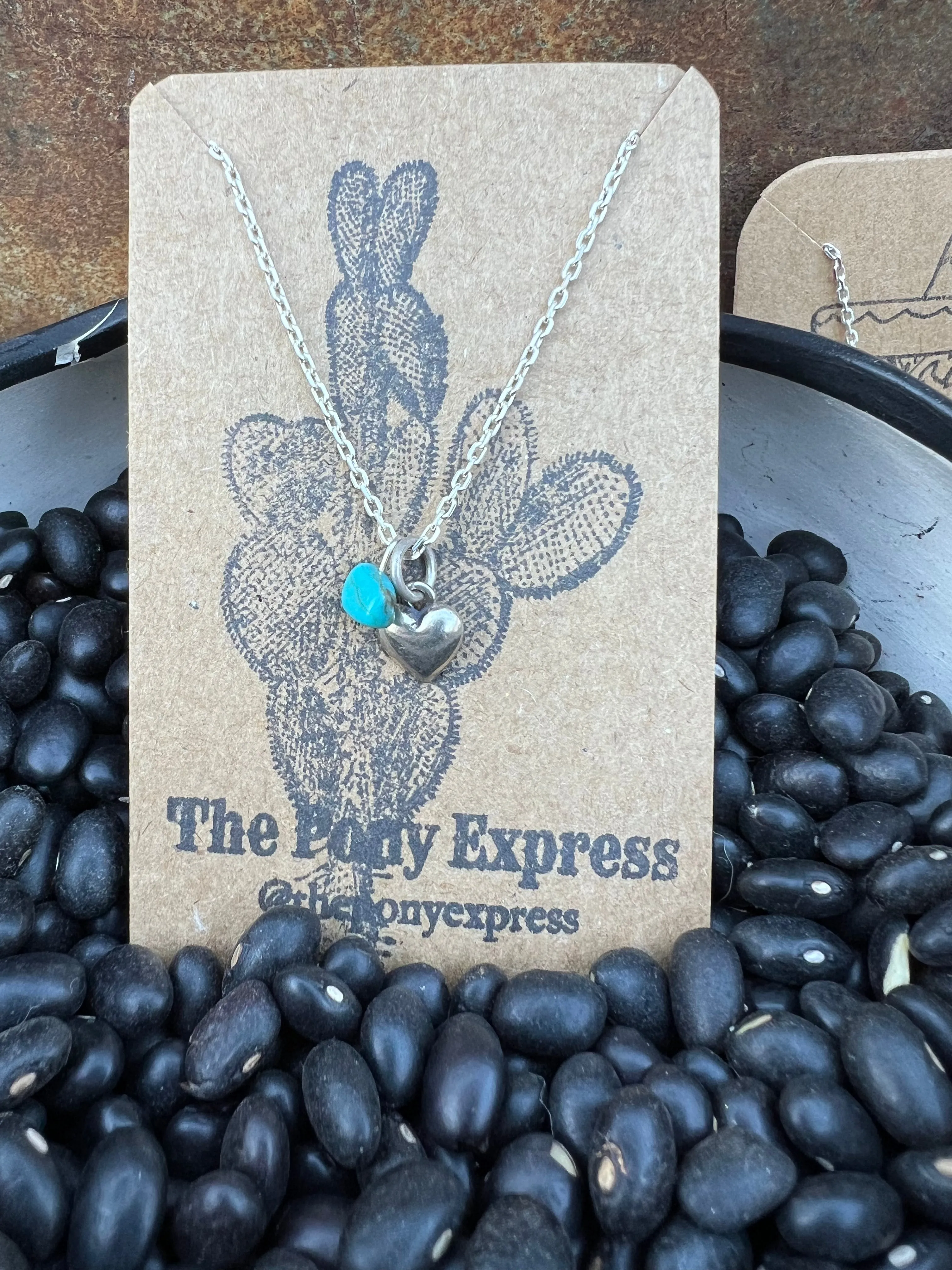 $25 Turquoise Charm Necklace