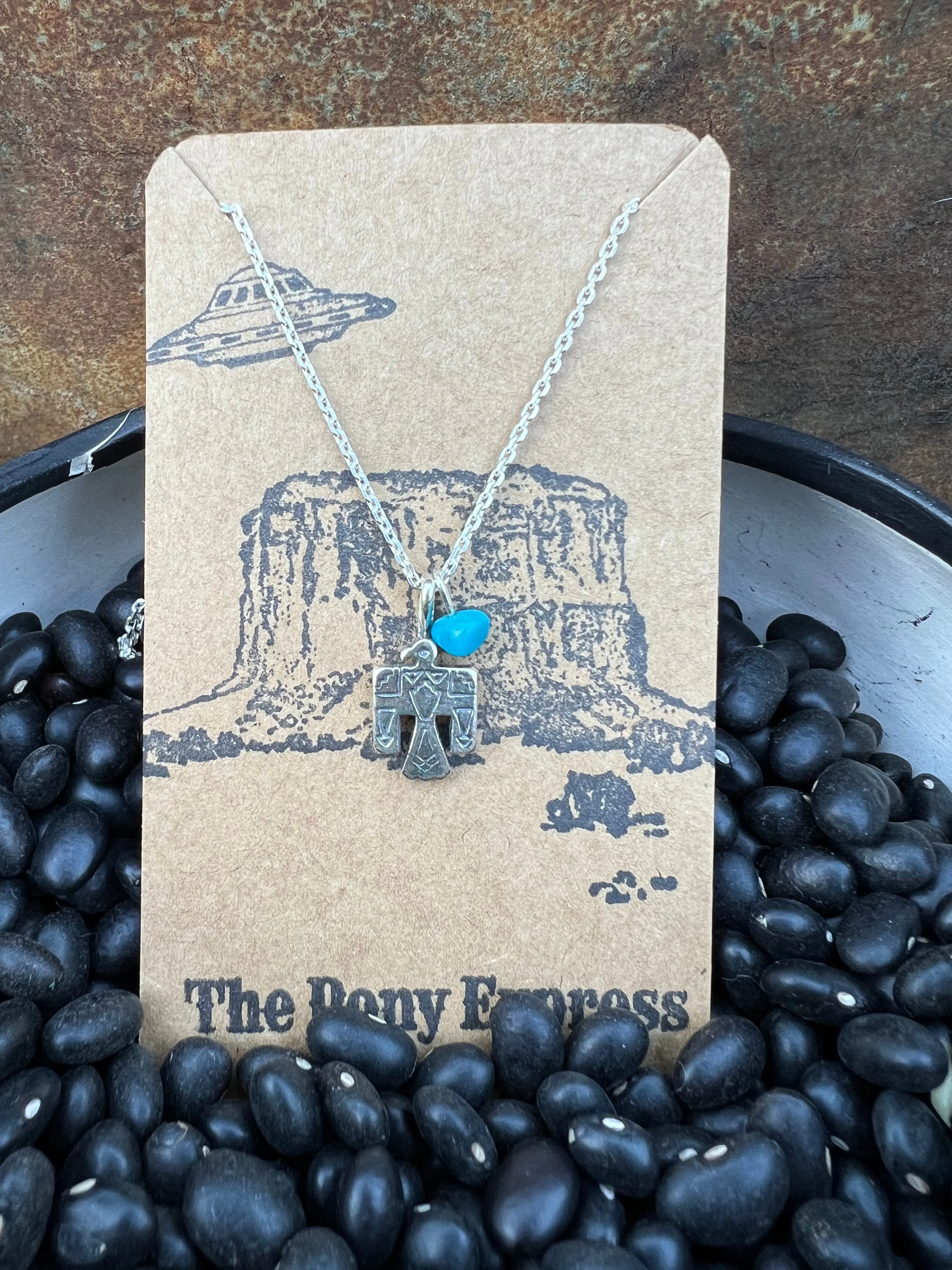 $25 Turquoise Charm Necklace